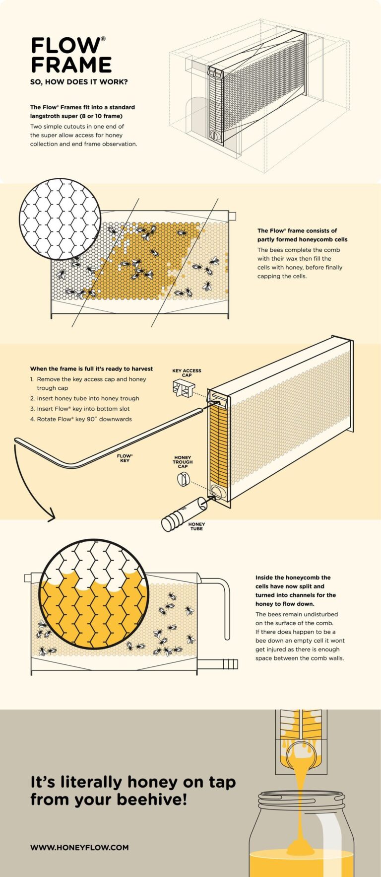 Do Plastic Bee Hives Work