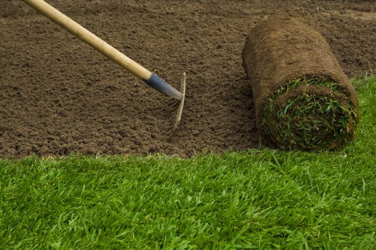 How Much Topsoil is Needed for Sod