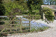 image (1)